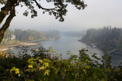 Lake Oswego Realtor Adrian Olmstead helps sellers prepare for 2026 housing market.